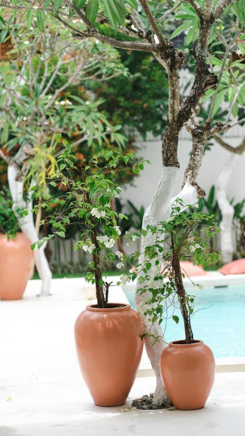 Villa Diola 3 Canggu Exteriör bild
